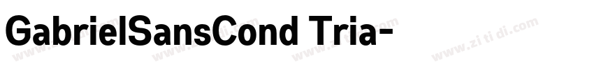 GabrielSansCond Tria字体转换 GabrielSansCond Tria字体转换